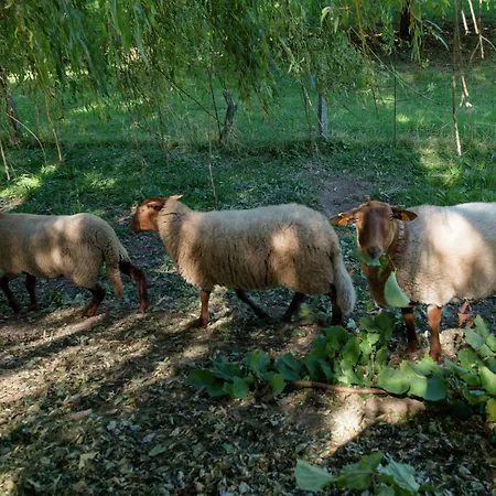 Sprimont Sauna & Garden * Damré